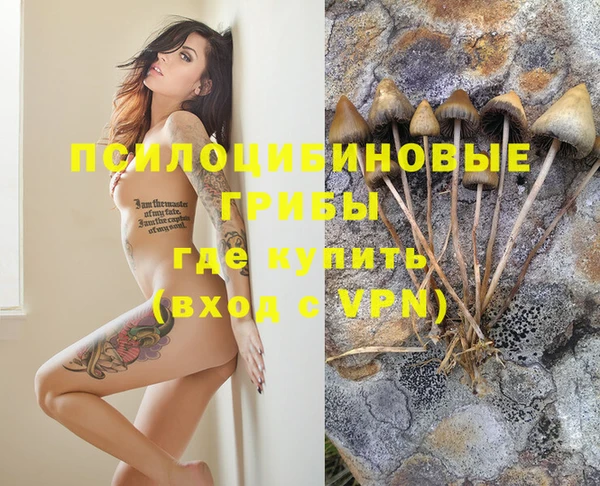 таблы Дрезна