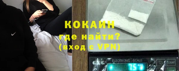стаф Россошь