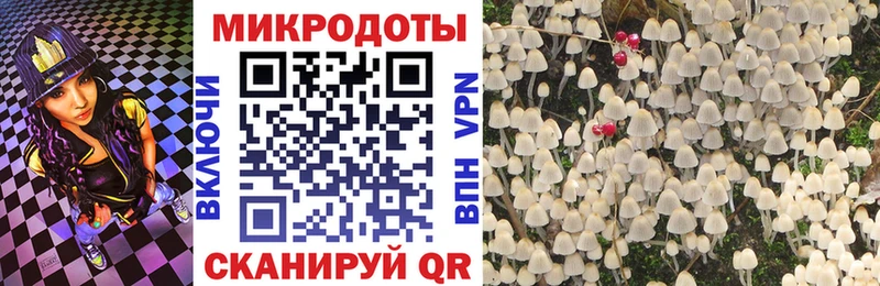 Псилоцибиновые грибы GOLDEN TEACHER  хочу наркоту  Сафоново 