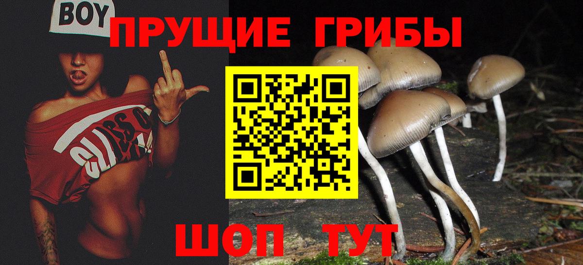 Галлюциногенные грибы мицелий  Галлюциногенные грибы ЛСД  Сафоново  Вход с VPN 